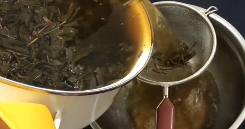 Bước 3_ Pha trà tắc