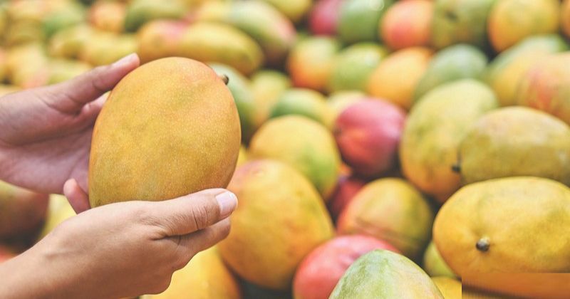 Cách chọn mua nguyên liệu tươi ngon