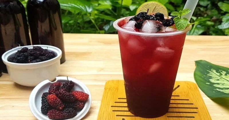 cách làm trà dâu tằm